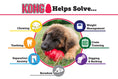 Load image into Gallery viewer, KONG Classic Dog Toy
