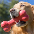 Load image into Gallery viewer, KONG Goodie Bone Rubber Dog Chew Toy, Medium
