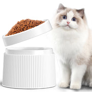 Elevated and Tilted Cat Food Bowl 