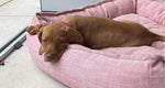Sterling Lounge Bed Berry