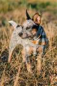 Load image into Gallery viewer, Tobacco Plaid Dog Bandana
