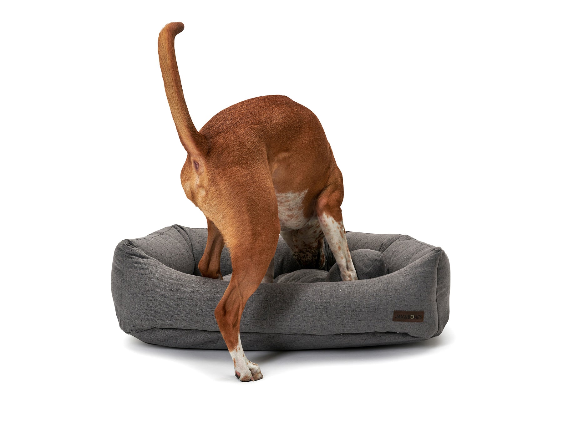 Lark Graphite Napper Bed by Southlake Paws with a dog exploring inside the cozy, gray fabric bed.