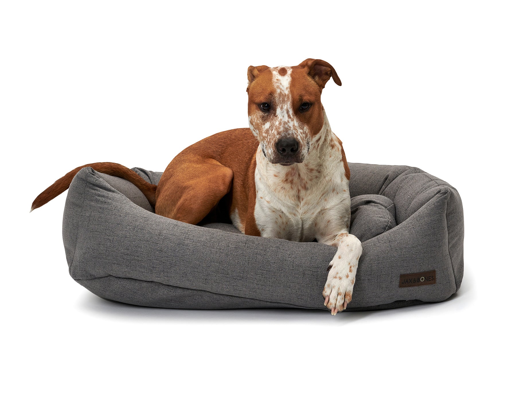 Dog resting comfortably on a Lark Graphite Napper Bed by Southlake Paws, featuring a soft, gray fabric design.