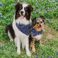 Load image into Gallery viewer, Lavender Fields Forever Dog Bandana
