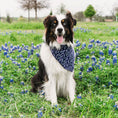 Load image into Gallery viewer, Lavender Fields Forever Dog Bandana
