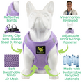 Load image into Gallery viewer, EcoBark Step In Dog Harness - XXXS to Small Breeds- Reflective Soft Mesh Harness for Teacup, Small Dogs and Puppies / Lavender
