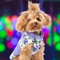 Load image into Gallery viewer, Lavender Flowers Dog Sweater
