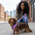 Load image into Gallery viewer, EcoBark Lavender Dog Harness - Over-the-Head Soft Mesh Vest Halter for XS to Medium Breed Dogs
