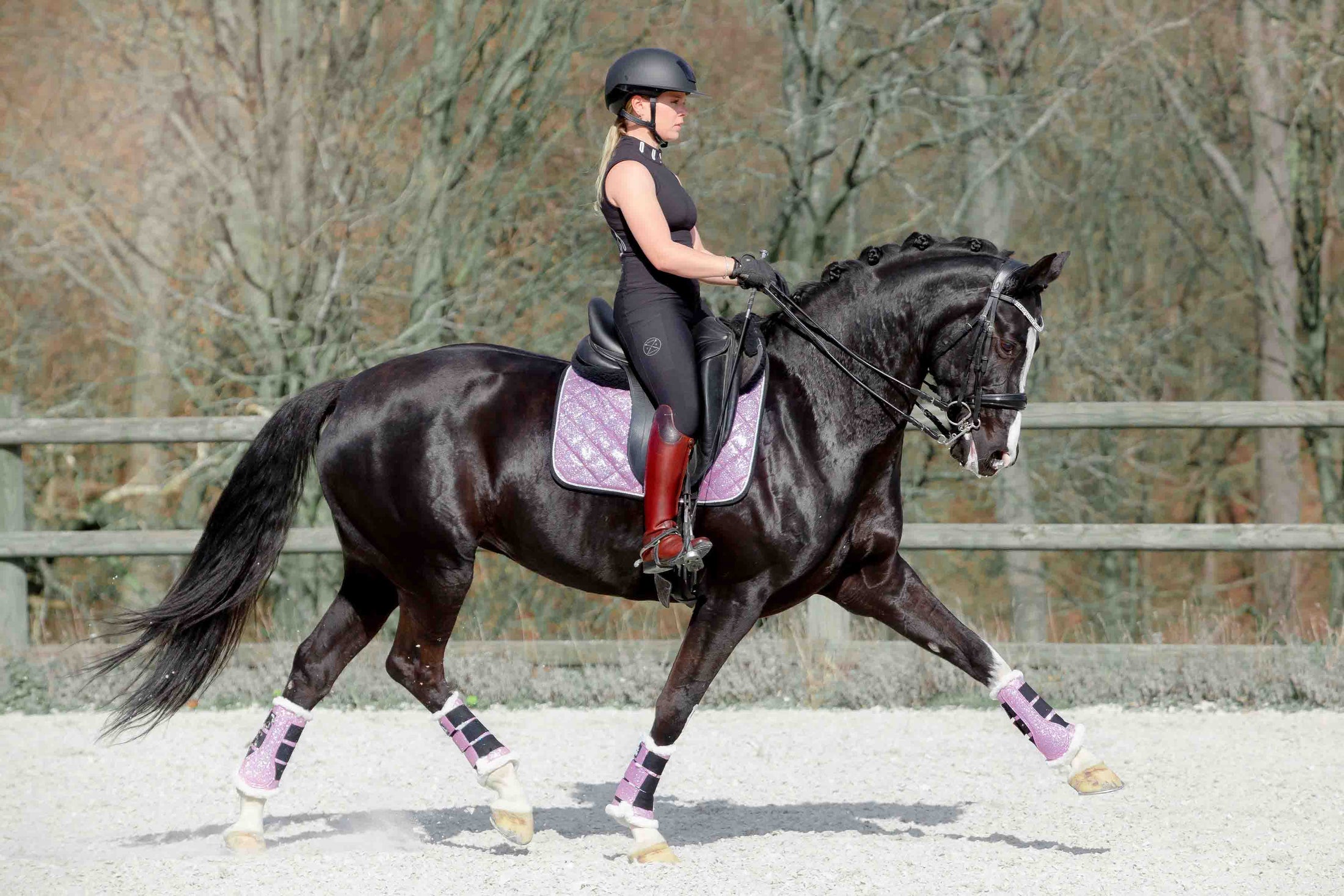 Southlake Paws Lavender Saddle Pad on a black horse, rider in black attire, riding in an outdoor arena.