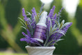 Load image into Gallery viewer, HuggleHug™ Lavender Bone & 2oz Calming Spray Dog Toy Set - image 7
