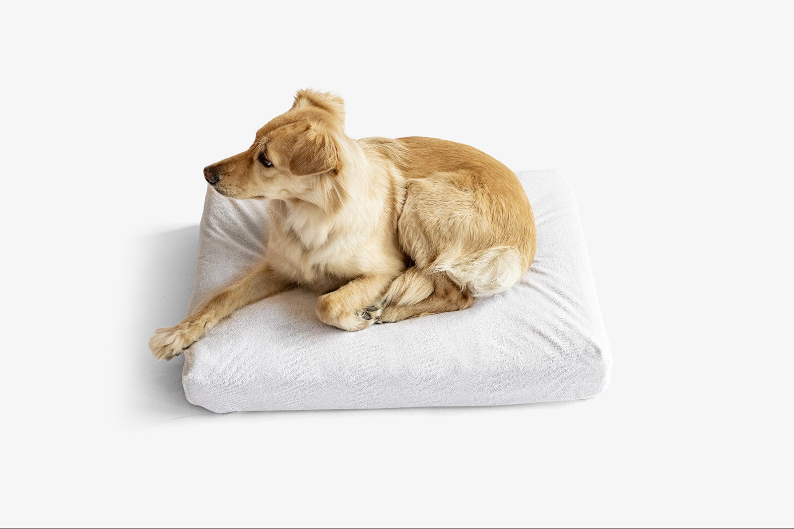 LAY LO Pets - Premium Waterproof Dog Bed Liner / DIY Mattress Stuff Sack