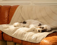 Load image into Gallery viewer, Brigette Romanek | Luxury Pet Throw Blanket - Cream 
