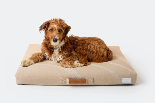 Brigette Romanek | Taupe Dog Bed or Bed Cover LAY LO Pets