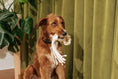 Load image into Gallery viewer, Macrame Rope Dog Toys: 2-Pack
