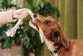 Load image into Gallery viewer, Macrame Rope Dog Toys: 2-Pack
