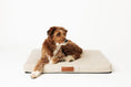 Load image into Gallery viewer, Ecru | Modern Dog Bed or Bed Cover
