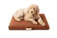 Load image into Gallery viewer, Terra | Modern Dog Bed or Bed Cover
