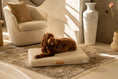 Load image into Gallery viewer, Brigette Romanek | Cream Dog Bed or Bed Cover LAY LO Pets
