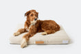 Load image into Gallery viewer, Brigette Romanek | Cream Dog Bed or Bed Cover LAY LO Pets
