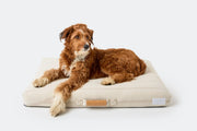 Brigette Romanek | Cream Dog Bed or Bed Cover LAY LO Pets