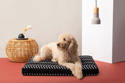 Black Chevron | Boho Dog Bed or Bed Cover LAY LO Pets