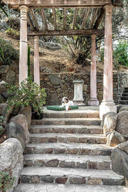 Hunter Green Grid | Dog Bed or Bed Cover LAY LO Pets