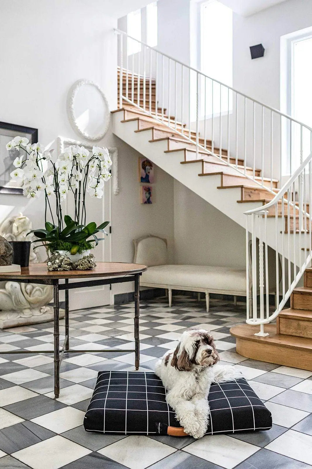 Black Grid | Fancy Dog Bed or Bed Cover LAY LO Pets