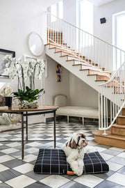 Black Grid | Fancy Dog Bed or Bed Cover LAY LO Pets