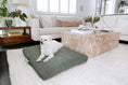 Load image into Gallery viewer, Sage | Modern Dog Bed or Bed Cover
