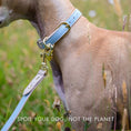 Load image into Gallery viewer, Leash 4ft - Vegan Leather
