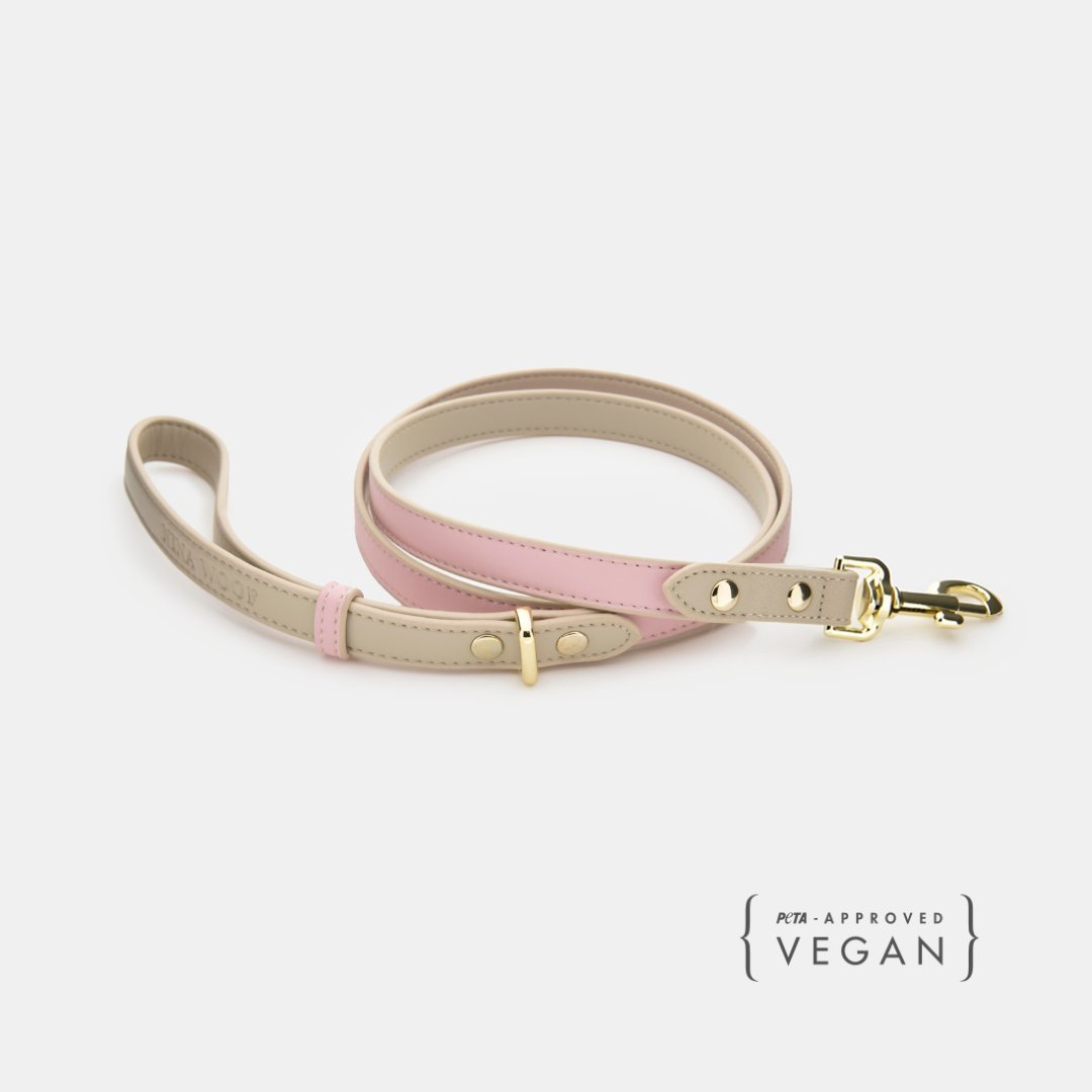 Leash 4ft - Vegan Leather