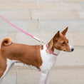 Load image into Gallery viewer, Leash 4ft - Vegan Leather
