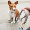 Load image into Gallery viewer, Leash 4ft - Vegan Leather
