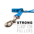 Load image into Gallery viewer, Sky blue EcoBark dog leash with a padded grip and strong clasp, featuring a dog pattern, available in 4, 5, and 6 feet length
