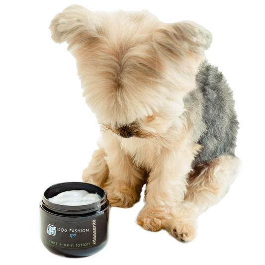  professional dog grooming tool Southlake Paws