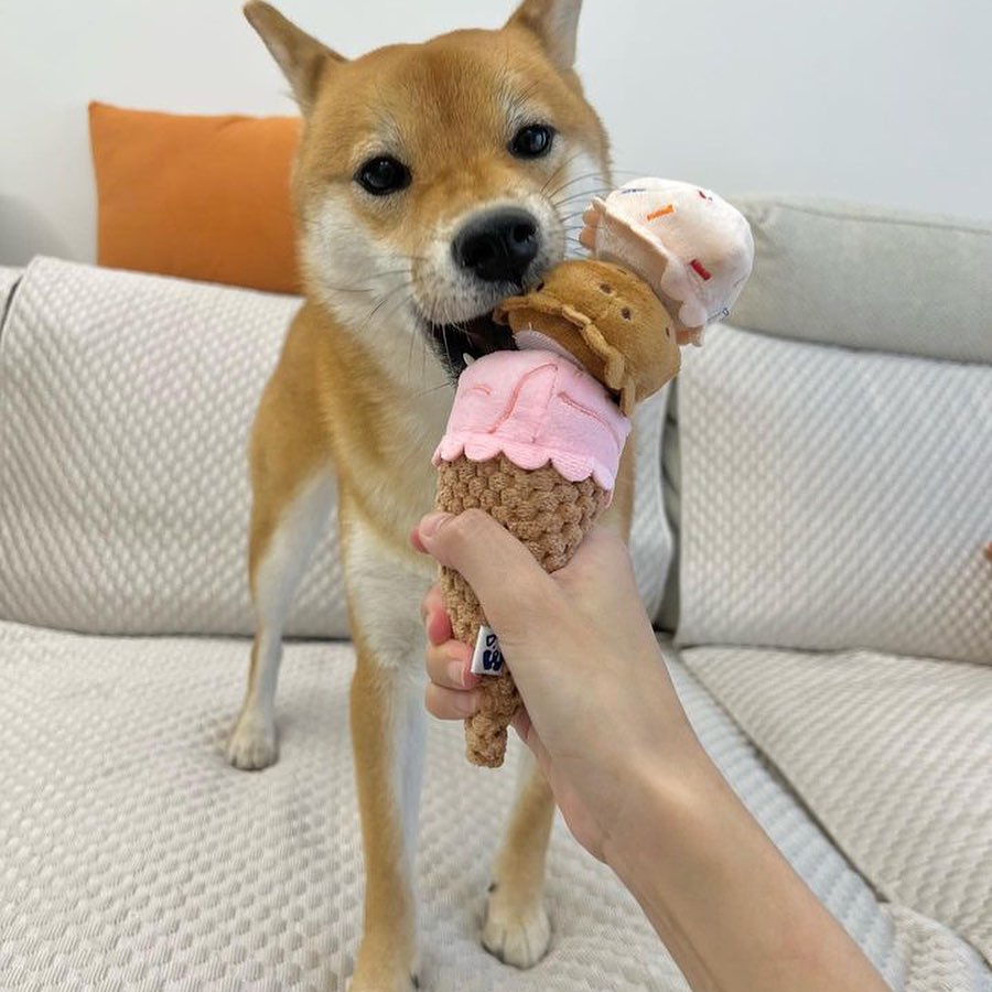 ICE CREAM PLUSH DOG TOY - Southlake Paws