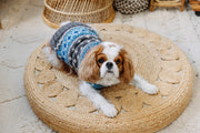 Light Blue Fair Isle Dog Sweater