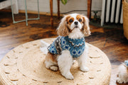 Light Blue Fair Isle Dog Sweater