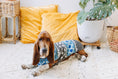Load image into Gallery viewer, Light Blue Fair Isle Dog Sweater
