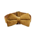 Load image into Gallery viewer, Light Coffee Velvet Set
