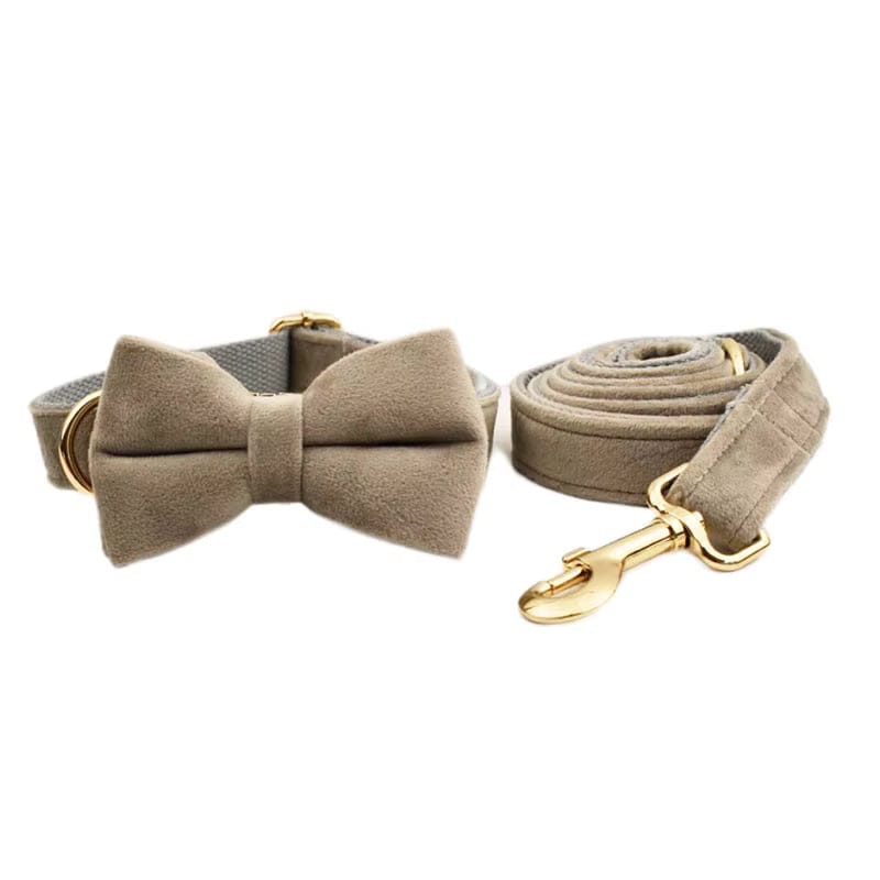 Light Grey Velvet Set