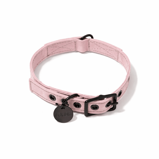Light Pink Waxed Cotton Canvas Cat & Dog Collar – Matte Black Hardware