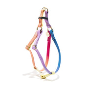 Light Prismatic Cotton Cat & Dog Harness – Vibrant, Adjustable & Durable | Found My Animal
