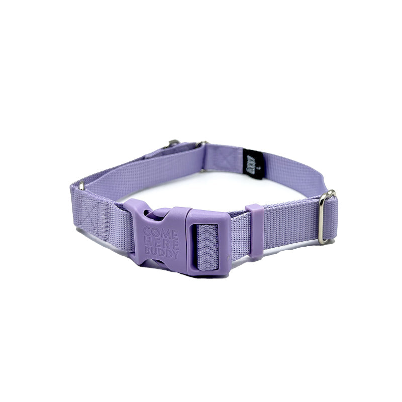 Martingale Dog Collar - Southlake Paws