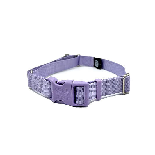 Martingale Dog Collar - Southlake Paws