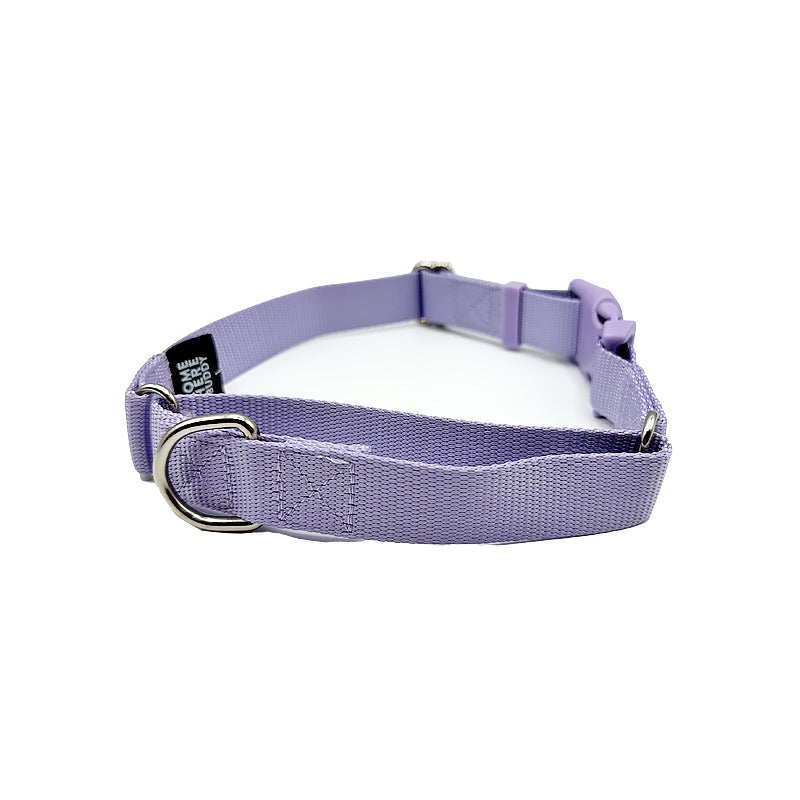 Martingale Dog Collar - Southlake Paws