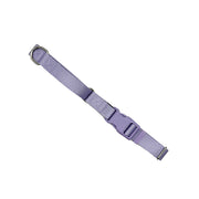 Martingale Dog Collar