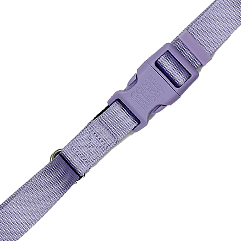 Martingale Dog Collar - Southlake Paws