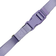 Martingale Dog Collar
