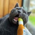 Load image into Gallery viewer, Purrona (Bottle & Ball) Catnip Toys
